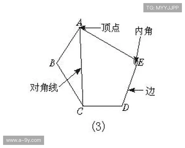 从踢足球与接足球优劣比较看青少年球技全面提升路径的研究探索篇
