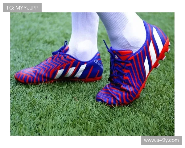 足球课堂必备器材清单与使用指南助你提升训练效果